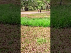 Công nghệ sáng tạo 100W tấm pin mặt trời di động cho cuộc phiêu lưu ngoài trời