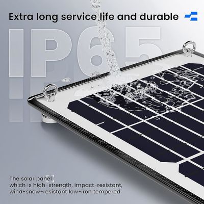 Máy sạc pin mặt trời từ tính 10W 12V Máy bảo trì nước cho thuyền